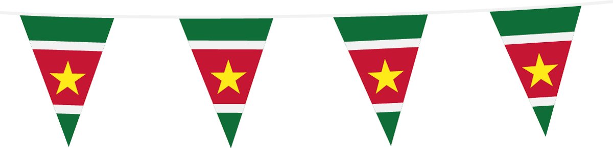 Vlaggenlijn Suriname 10 Meter - Voetbal EK WK Landen Feest Versiering Decoratie