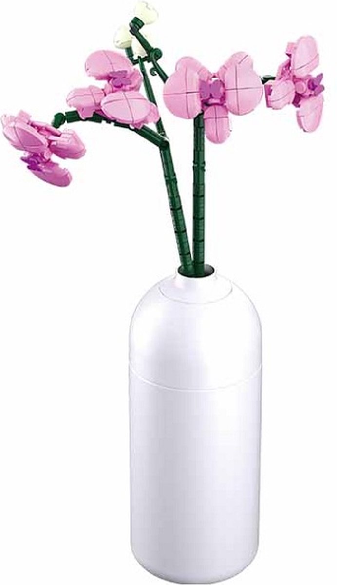 Orchideeën  : 261 stuks (M38-B1101-12)