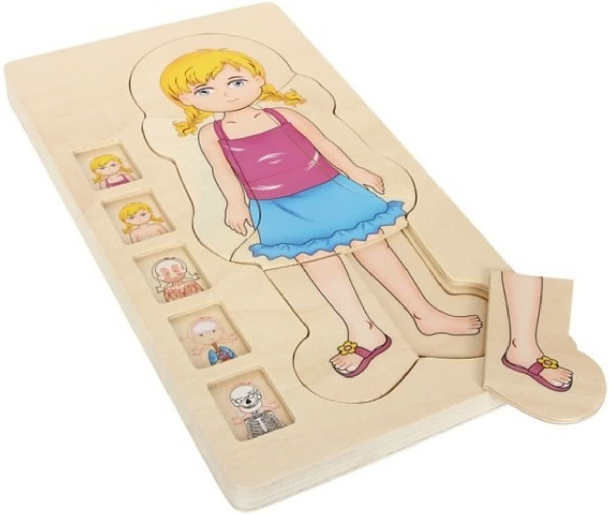 Small foot Houten puzzel anatomie