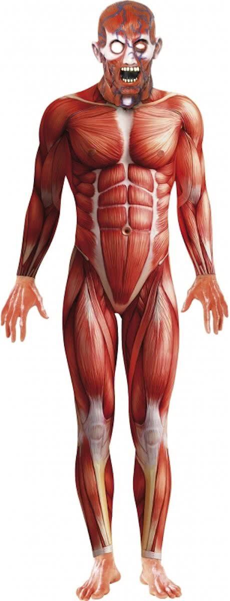 Halloween Anatomische man horror bodysuit 48-50 (m)