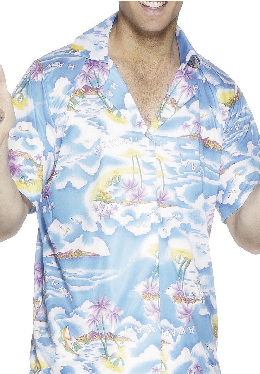 Hawaii Shirt