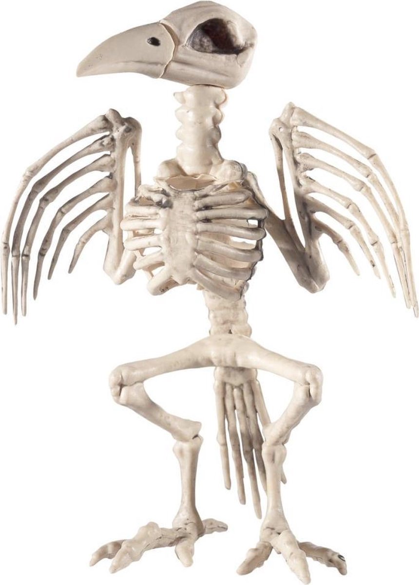 Smiffys Halloween Decoratie Raven Skeleton Prop Wit