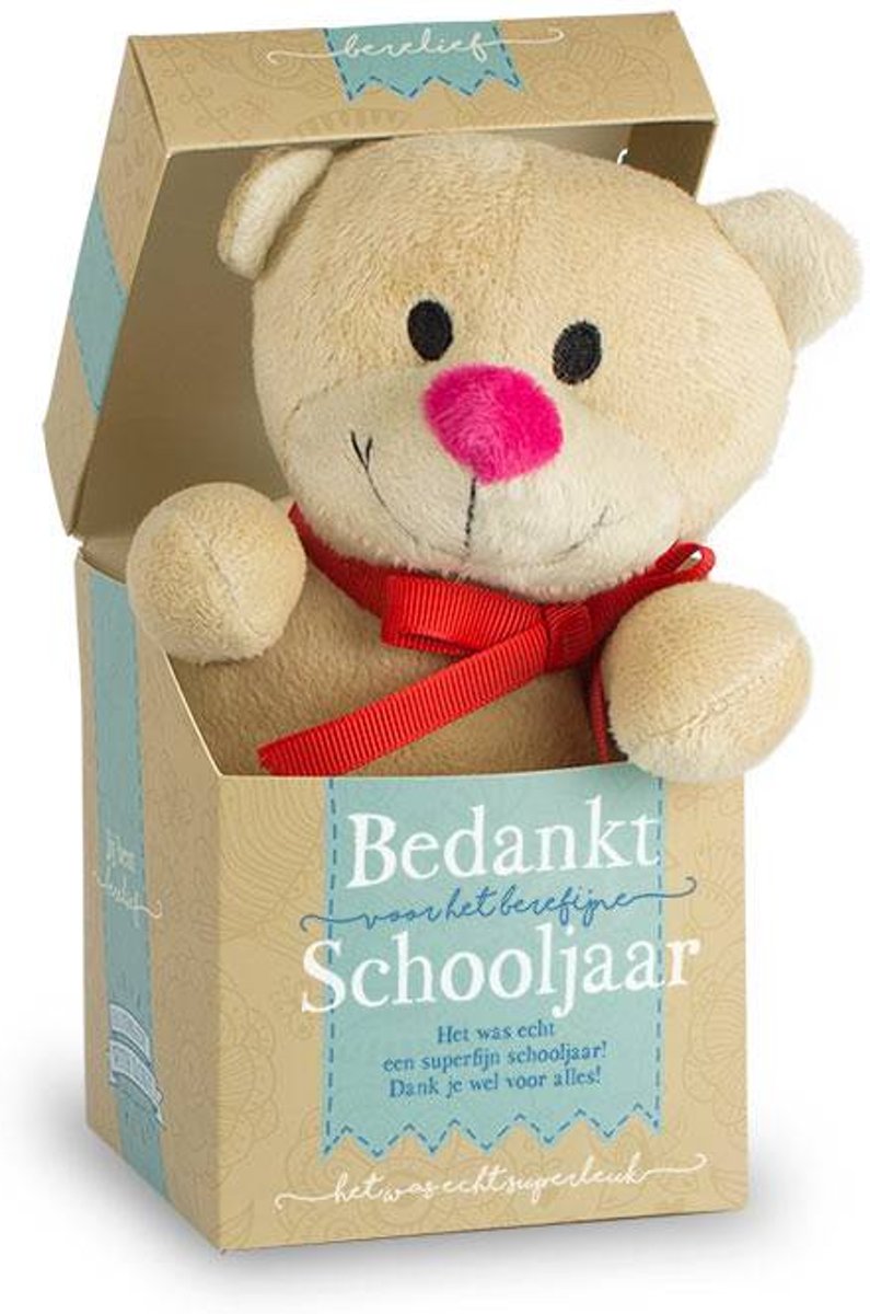 Pluche beertje in een doosje - Bedankt voor het schooljaar - In cadeauverpakking met gekleurd lint