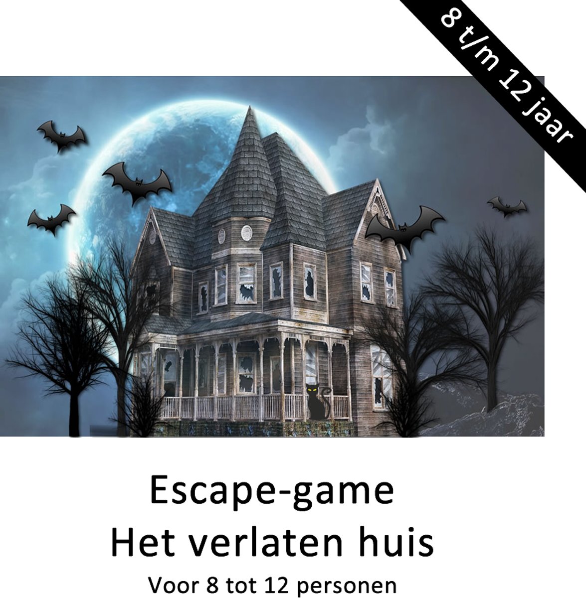 Escape Room voor kinderen - Het verlaten huis - kinderfeestje - 8 tot 12 kinderen - breinbreker - 8 t/m 12 jaar