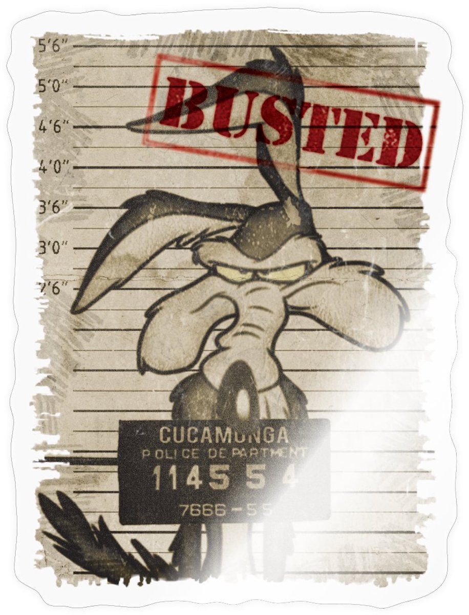 Looney Tunes Wile E. Coyote Busted