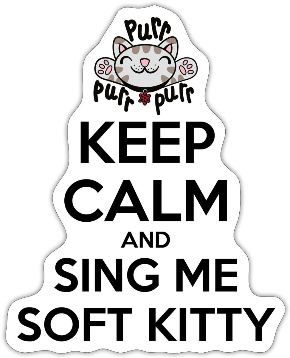 The Big Bang Theory Sing Soft Kitty