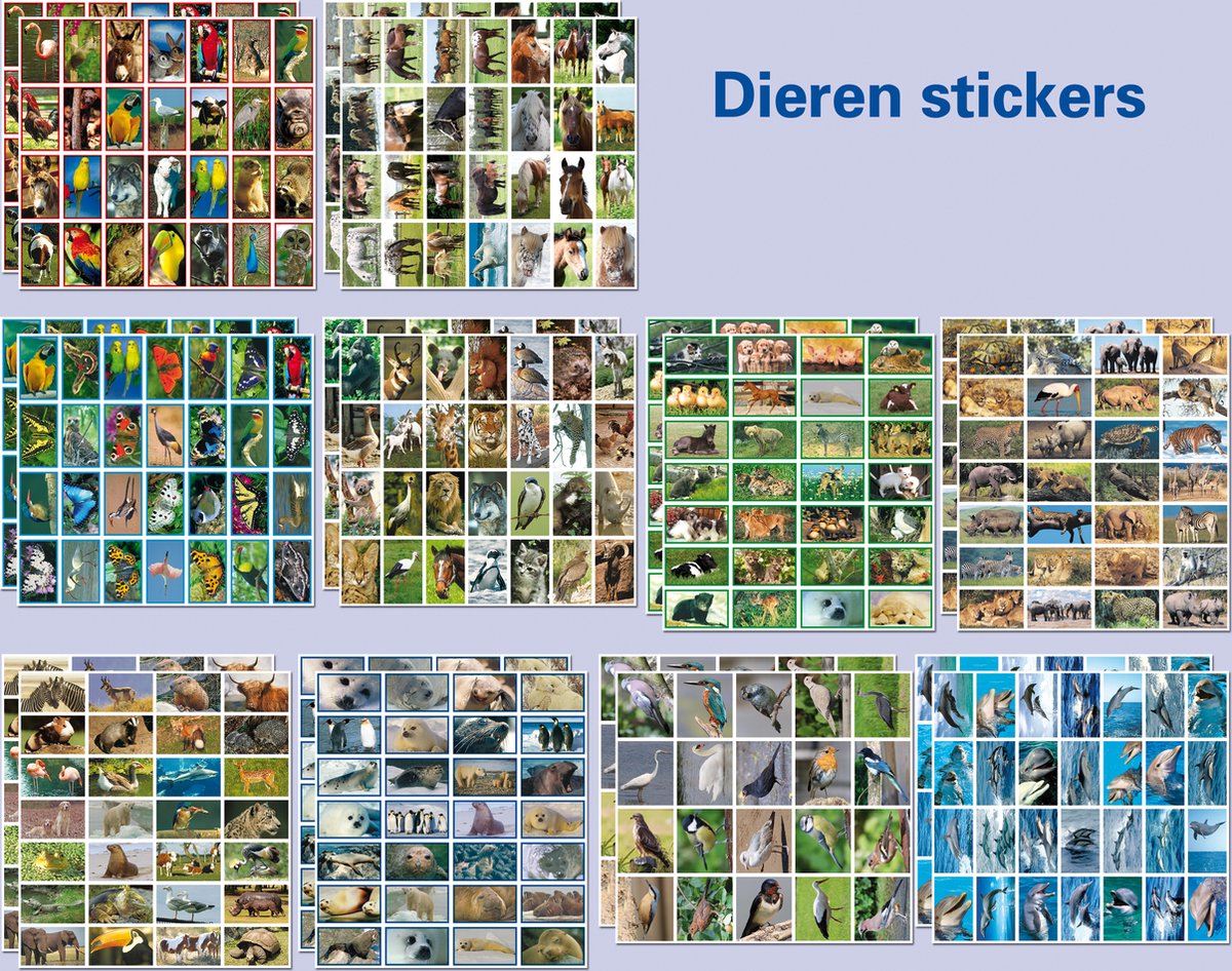 Stammetjes Beloningsstickers - Dieren – 20 stickervellen met 544 stickers - 10 unieke vellen Geef kinderen het zelfvertrouwen en motivatie die ze nodig hebben