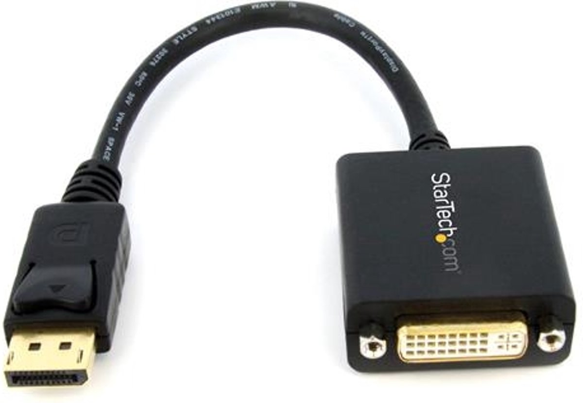 DisplayPort naar DVI Video Adapter Converter