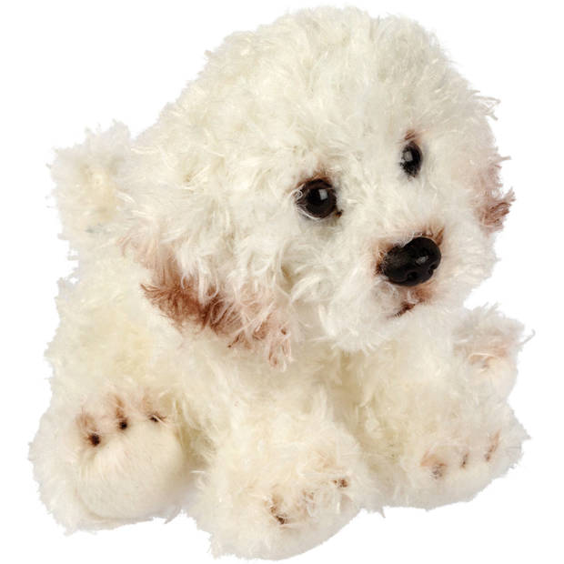   Gifts Pluche knuffeldier hond - Bichon Frise - creme wit - 13 cm - huisdieren thema - Knuffel huisdieren