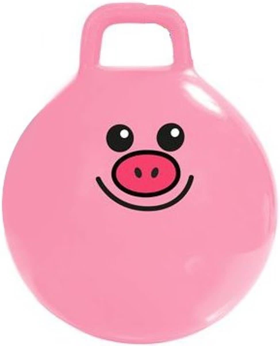 Summertime Skippybal 40 cm roze