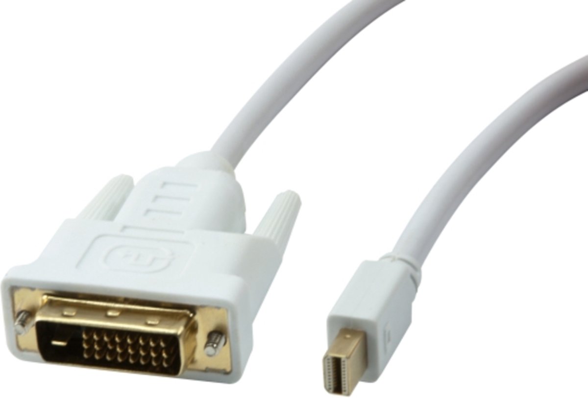 Synergy 21 S216369 3m Mini DisplayPort DVI Wit video kabel adapter