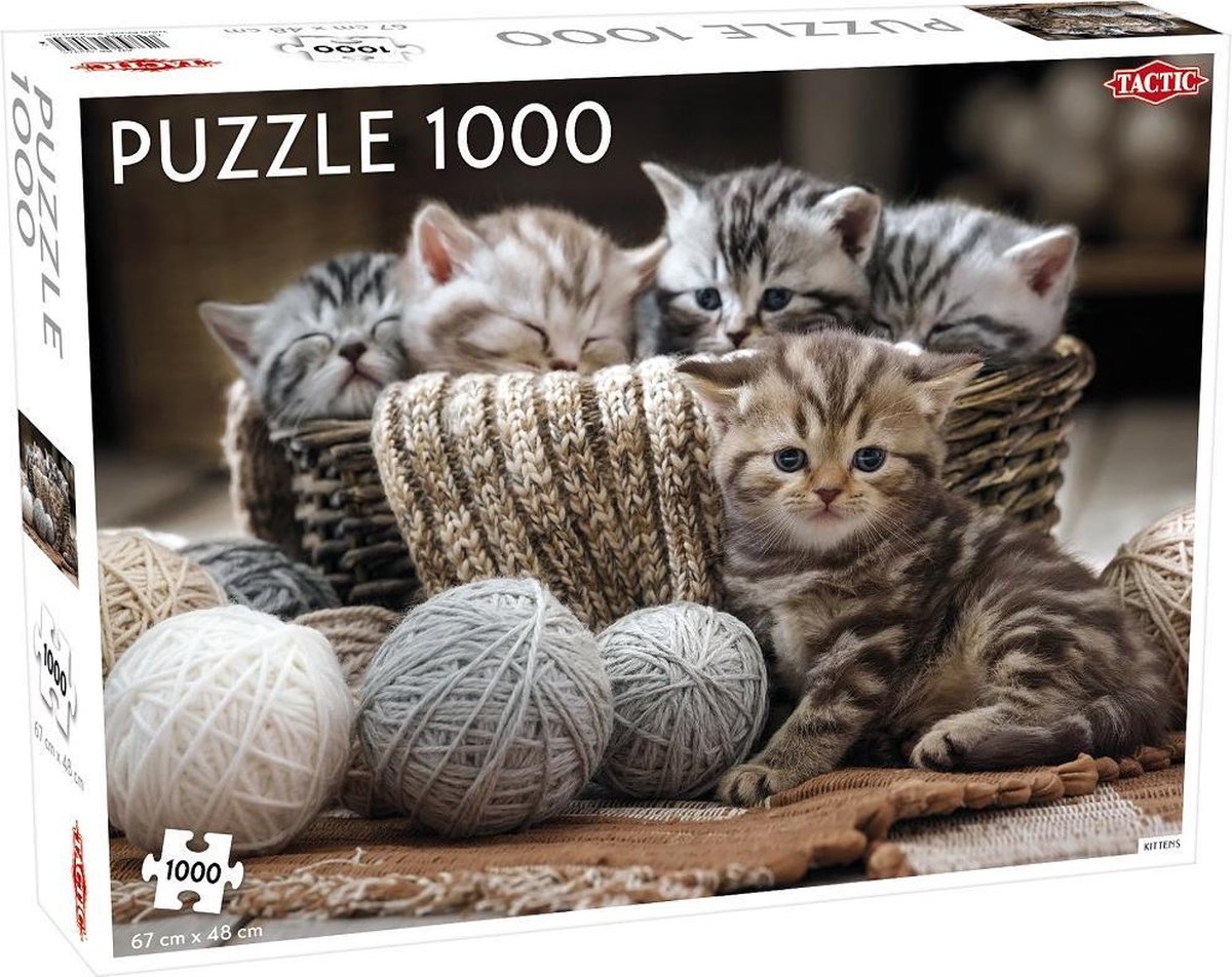 Cute Kittens - 1000 stukjes