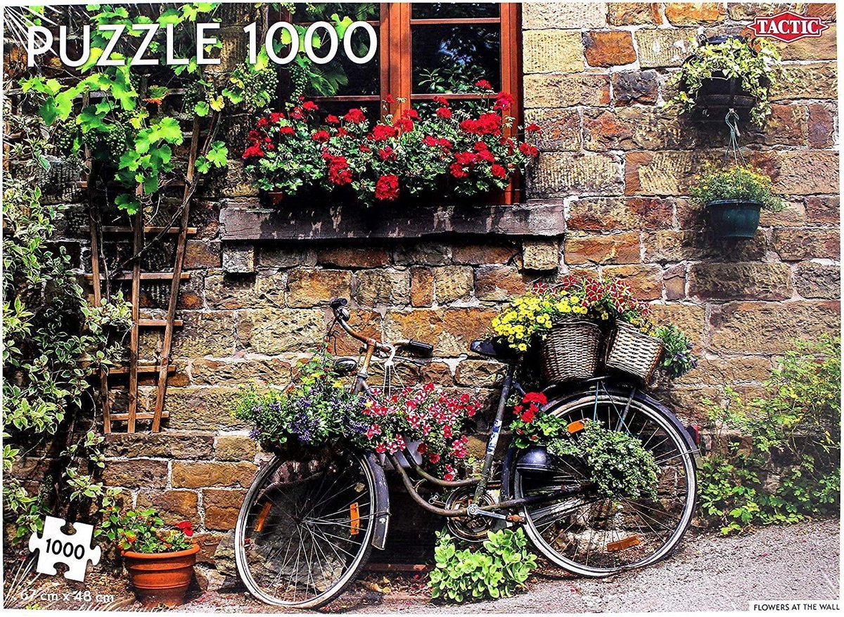 Puzzel 1000 stukjes - Flowers at the wall