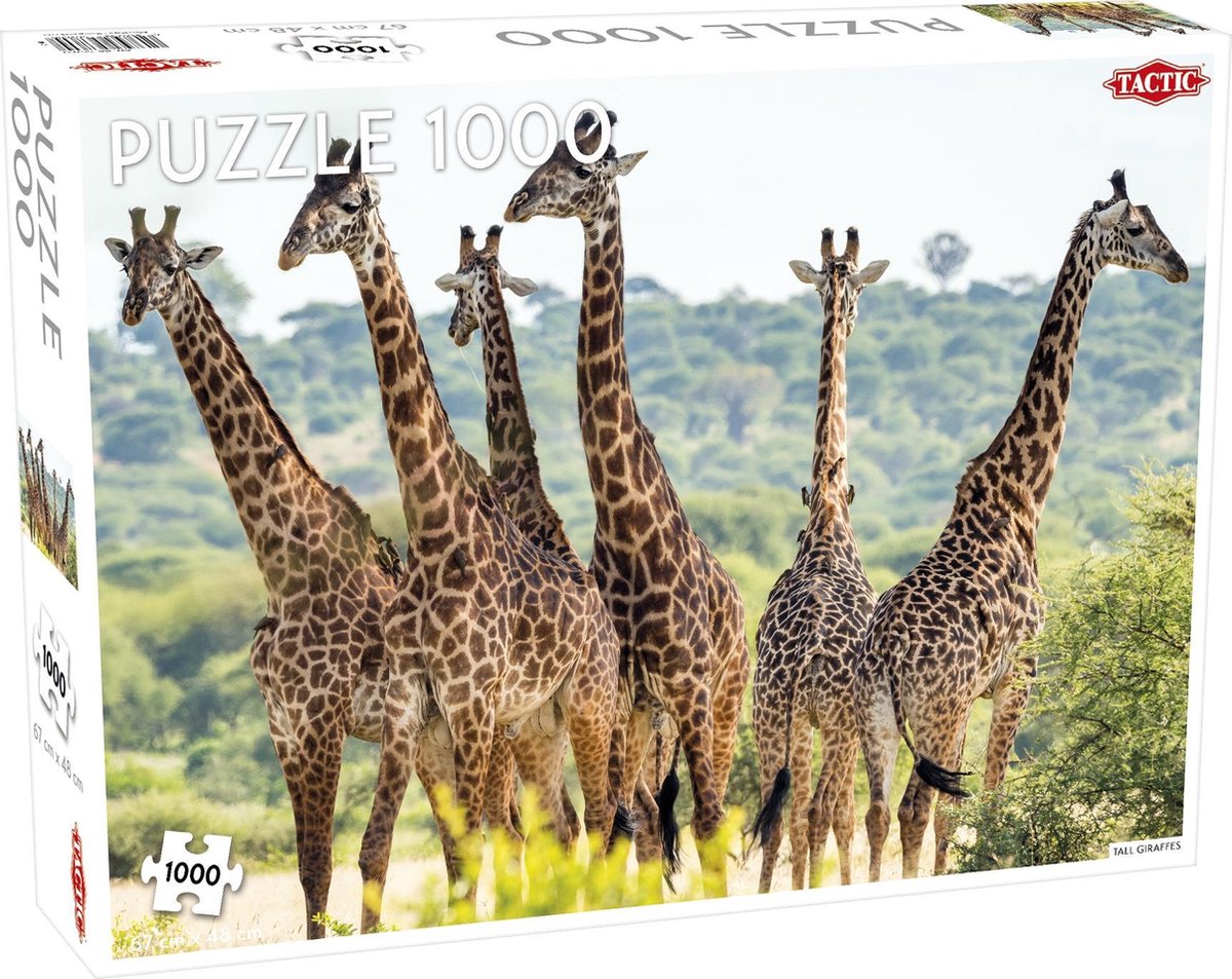 Puzzel Animals: Tall Giraffes - 1000 stukjes