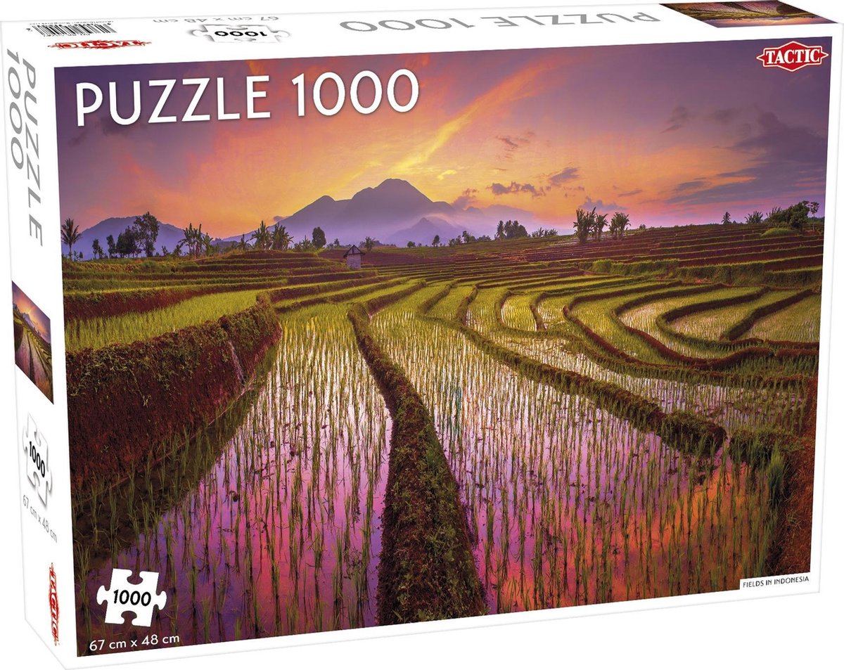 Puzzel Fields in Indonesia 1000 Stukjes