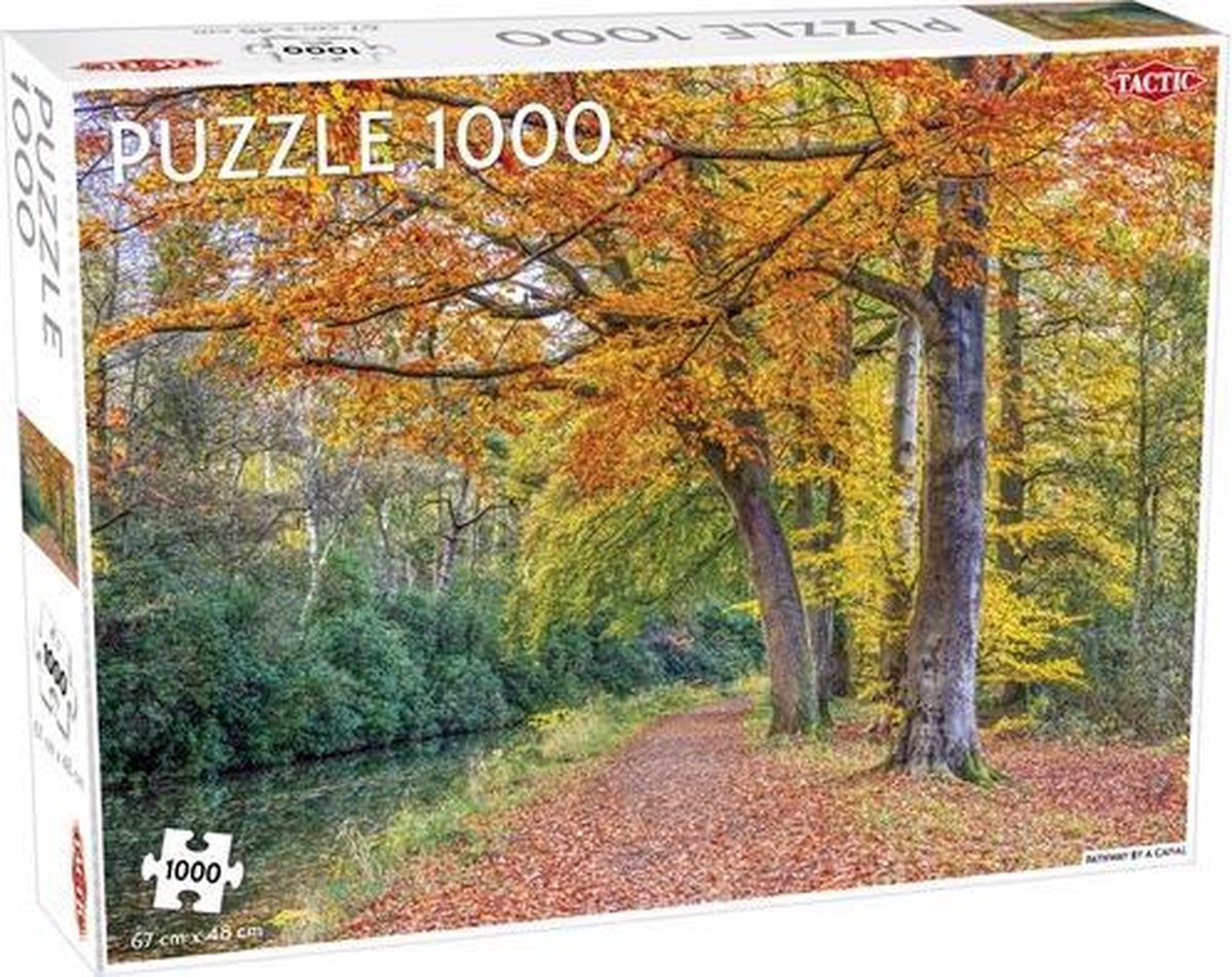 Tactic Puzzel 1000 Stukjes Volwassenen - Legpuzzel - Puzzels - Hobby - Bos in de herfst