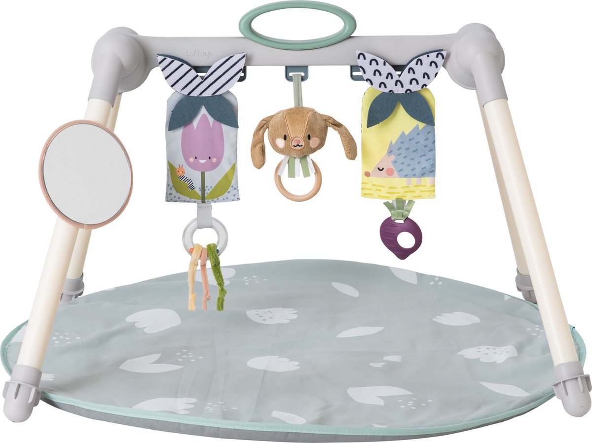 Taf Toys - Speelmat met opvouwbare activiteitenboog - Urban Garden Foldable Gym