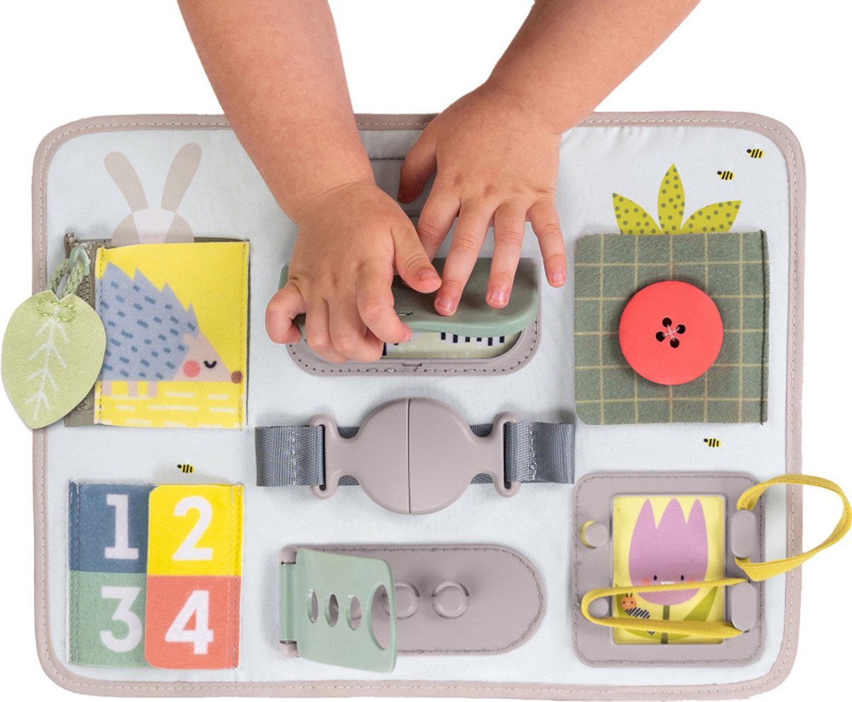   Activity Buckles Board