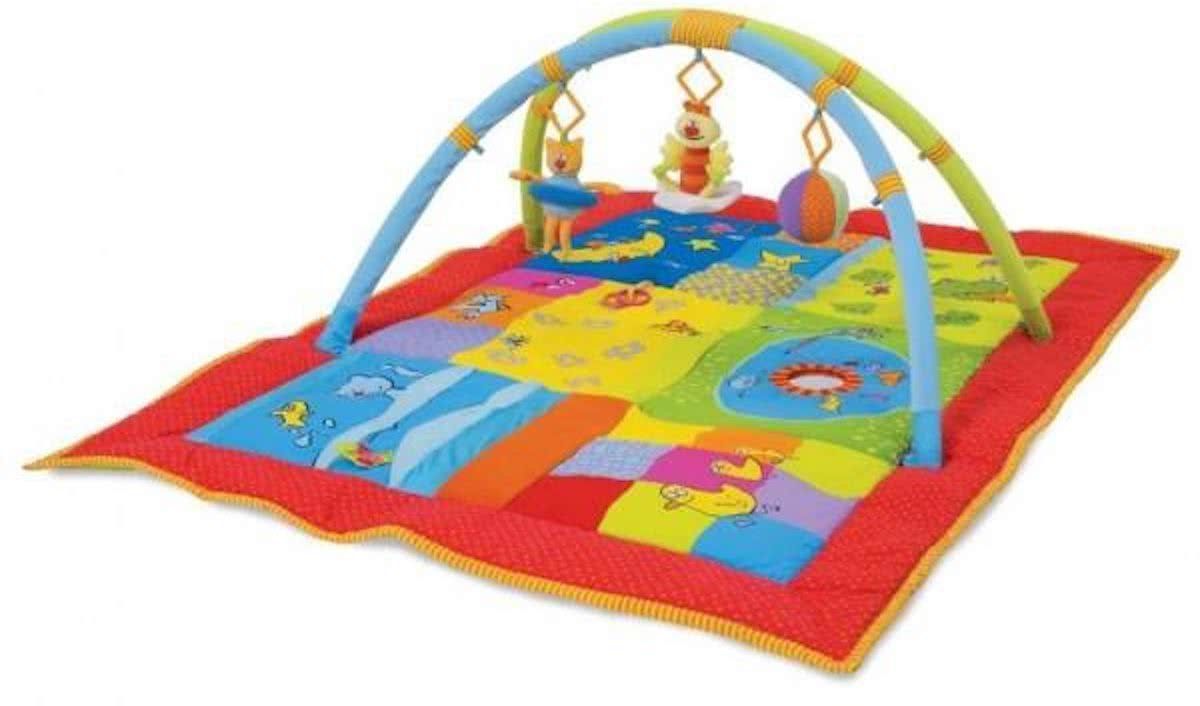 Taftoys Grote 2-in-1 Gym met afneembare bogen 100 x 150 cm - Speelmat