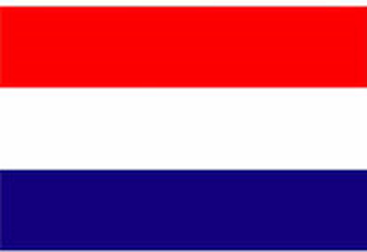 Dokkumer   Centrale - Nederlandse vlag - 100 x 150 cm