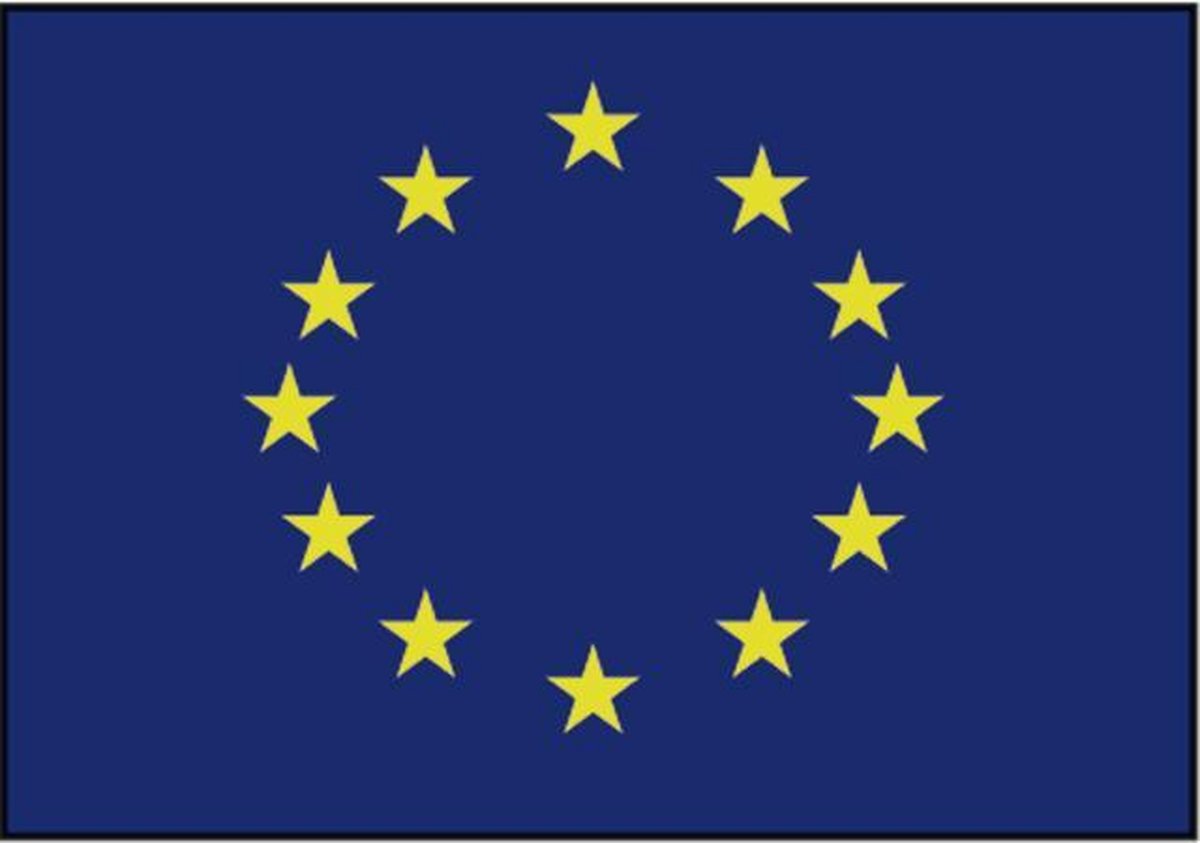 Talamex Europese vlag 40 x 60 cm