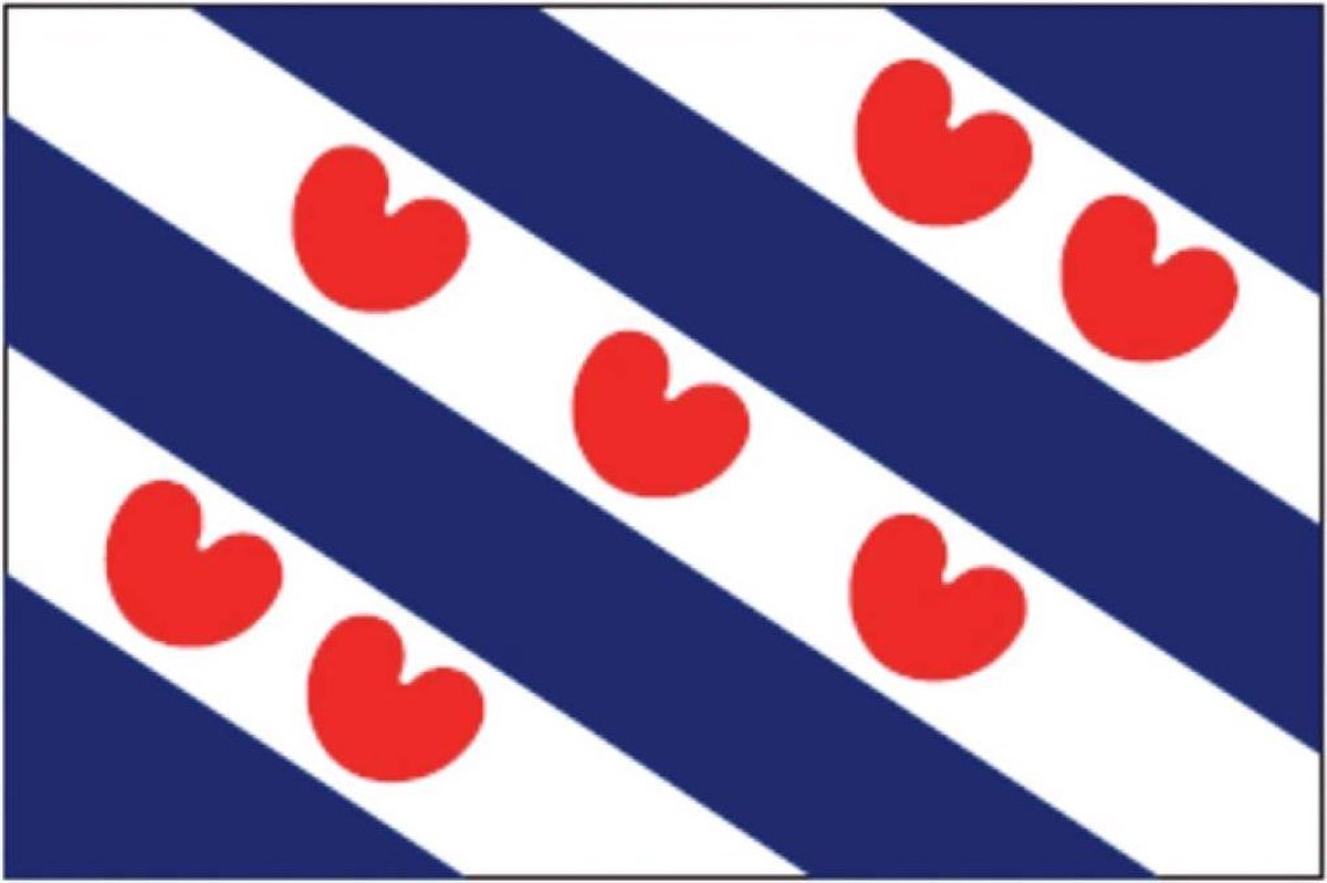 Talamex Friese vlag  40 x 60 cm