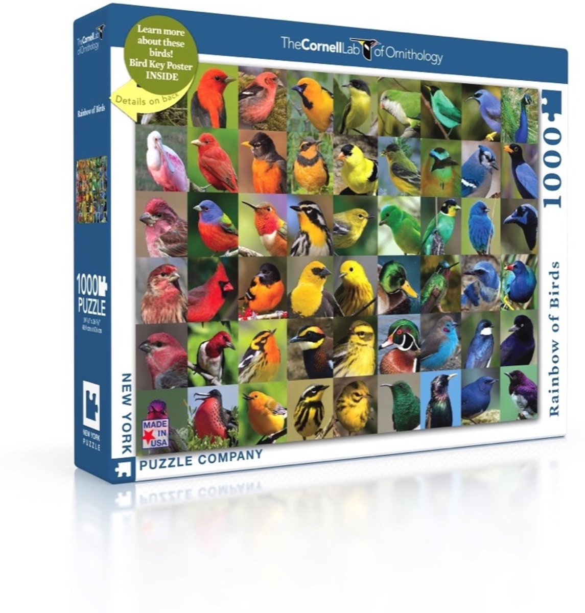 Rainbow of Birds - NYPC Cornell Lab Collectie Puzzel 1000 Stukjes