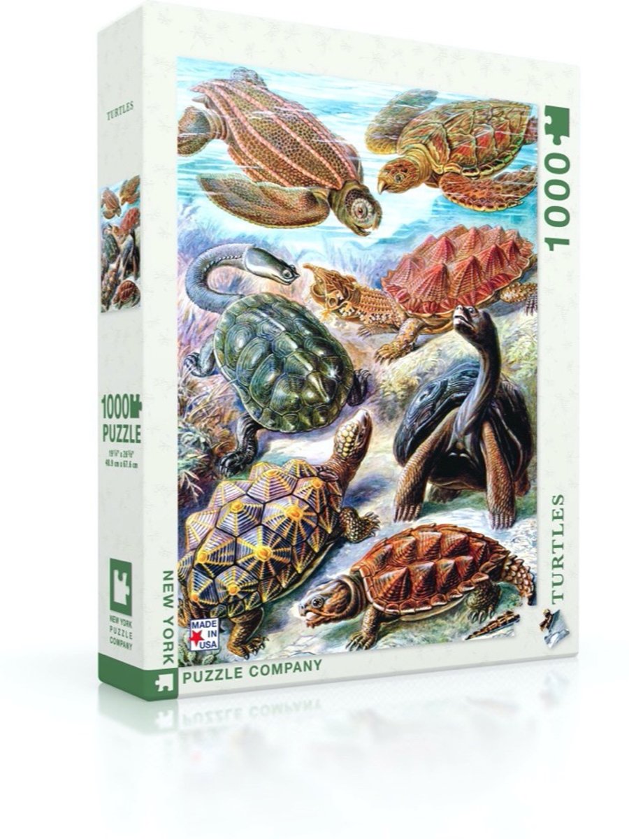 Turtles - NYPC Vintage Images Collectie Puzzel 1000 Stukjes