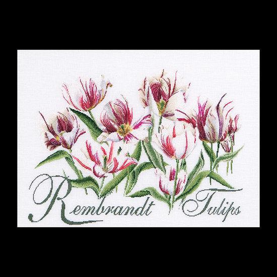 447A Rembrandt Tulips Borduurpakket