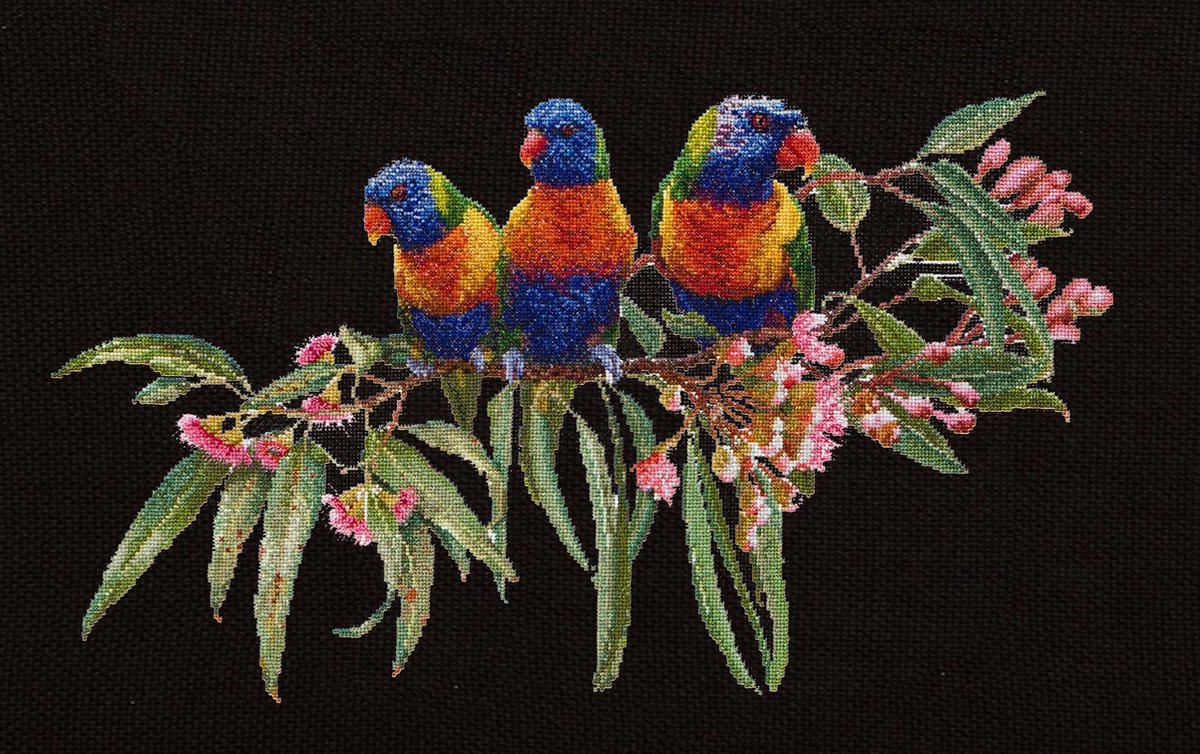   - Borduurpakket met telpatroon - 553.05 - Voorgesorteerde DMC Garens - Lorikeets - Zwart Aida - 52 cm x 36 cm