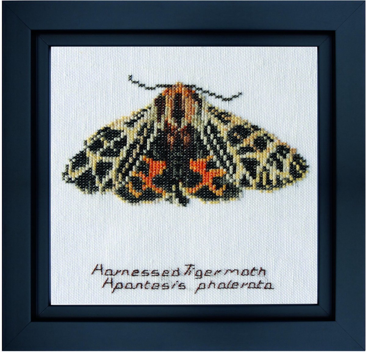   - Counted Cross Stitch Kit - Embroidery Kit - 569 - Harnessed Tiger moth - Pre-Sorted DMC Threads - Linen - 10.08 Inch x 12 Inch - DIY Kit