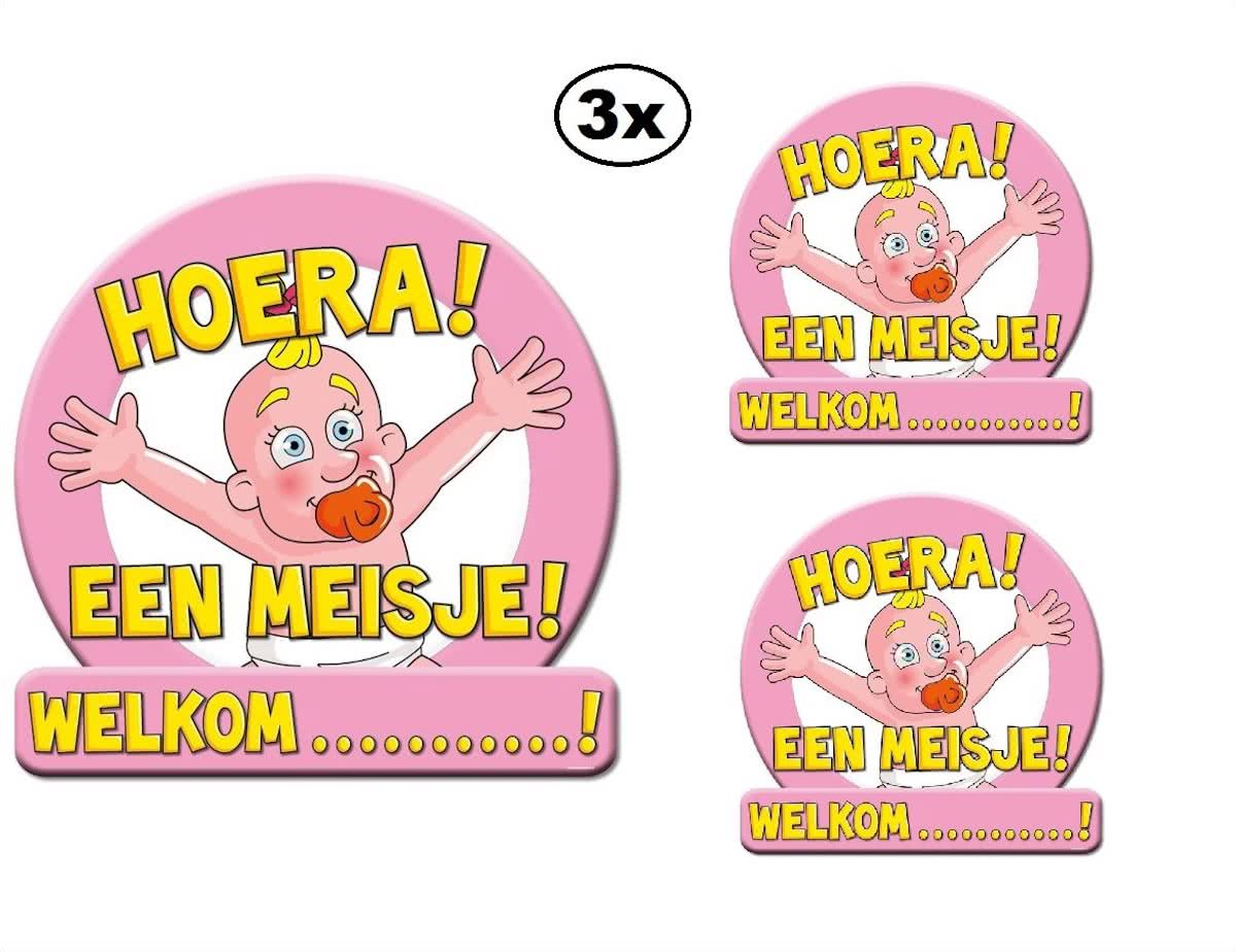 3x Huldeschild HOERA N MEISJE