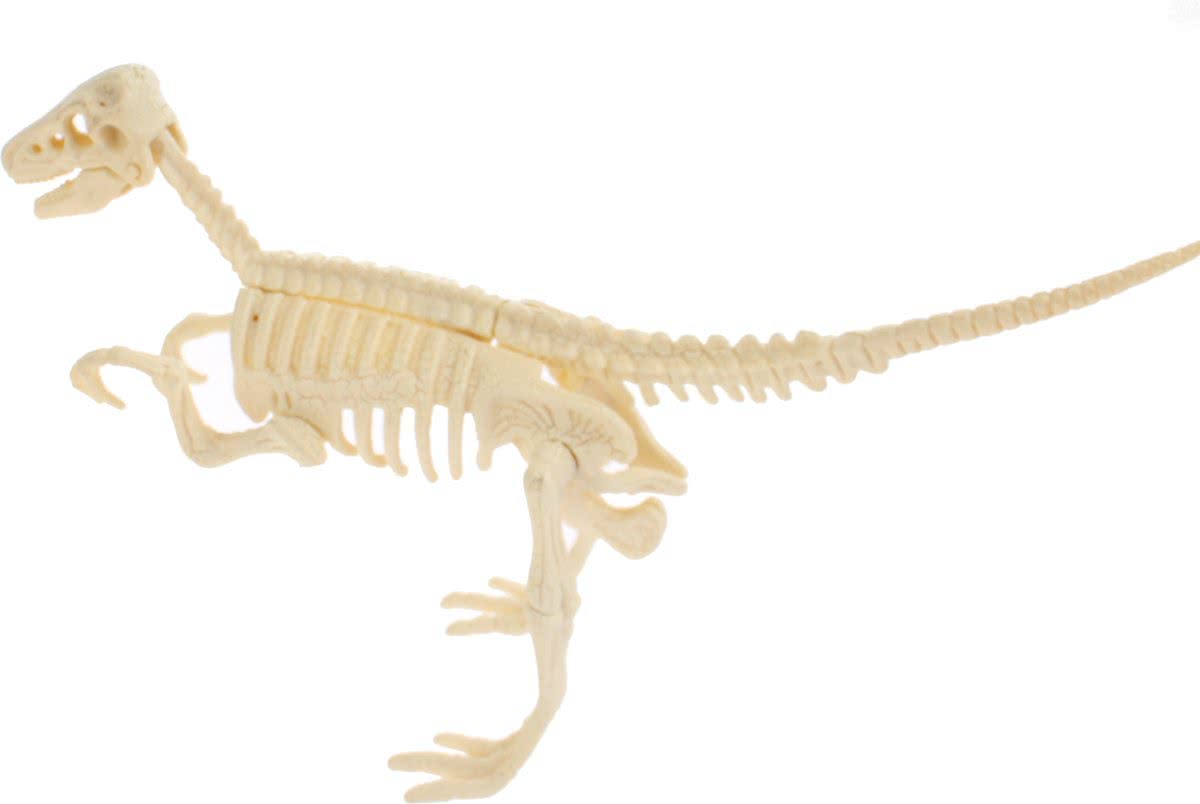 Toi-toys Dinosaurus-skelet 10 Cm C