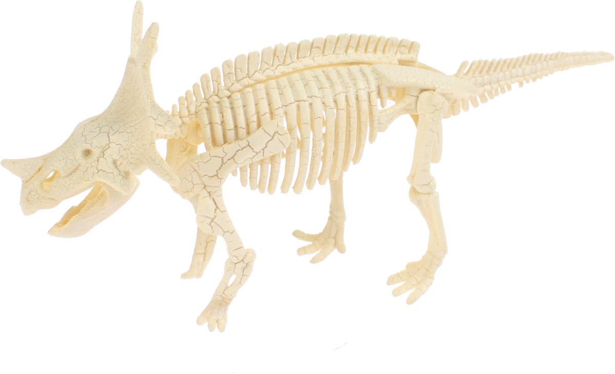 Toi-toys Dinosaurus-skelet 10 Cm F