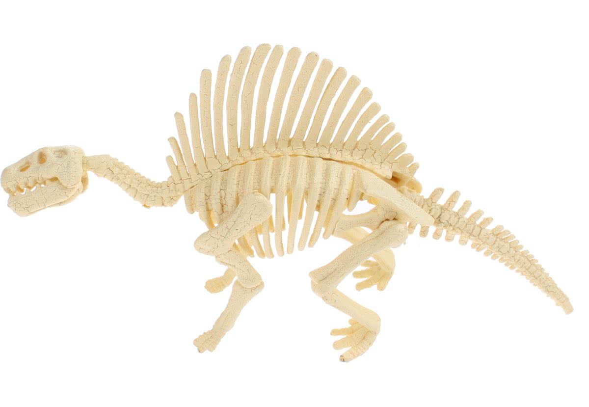 Toi-toys Dinosaurus-skelet 10cm B