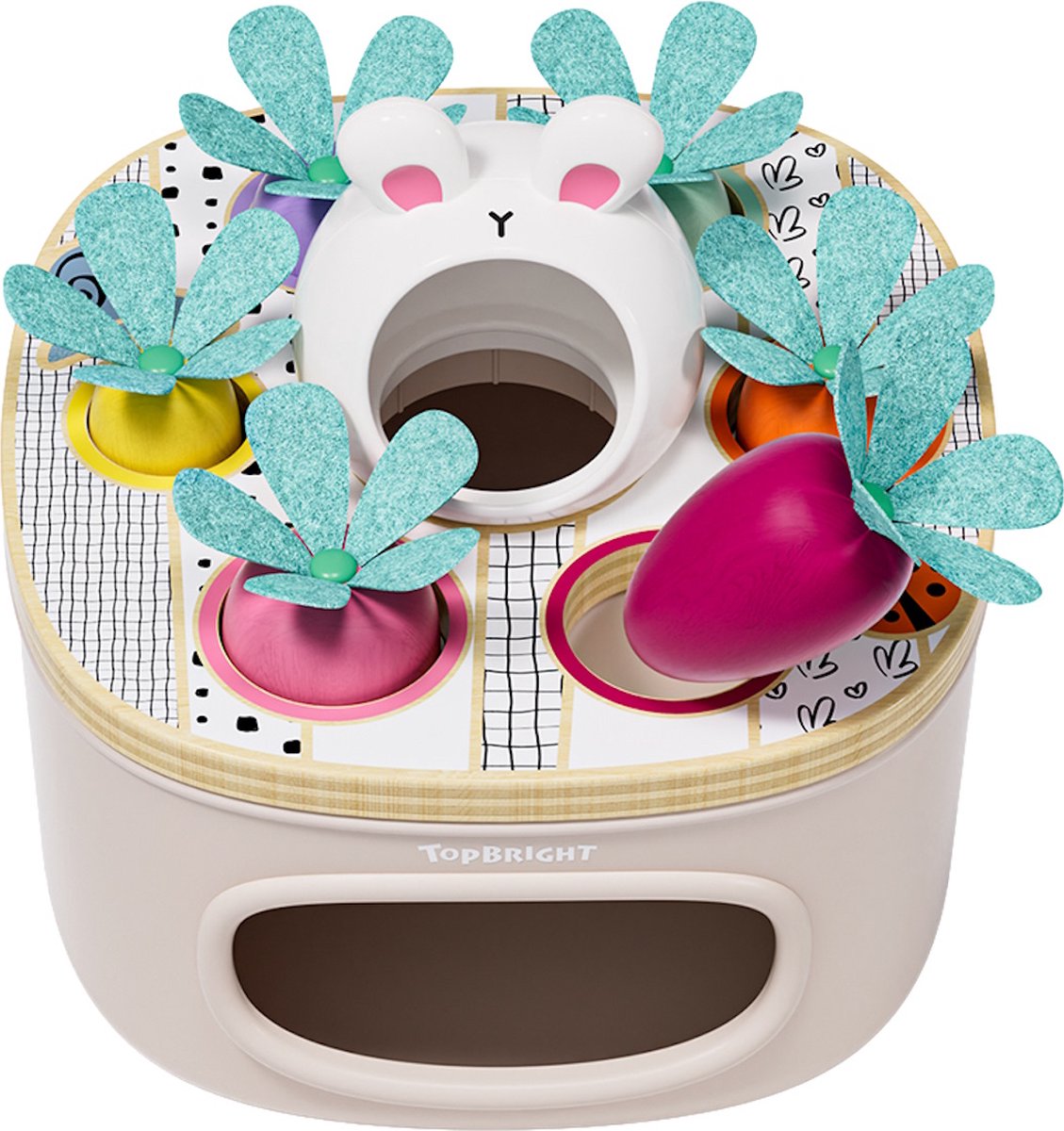 Topbright Match & Sort Worteltjes  