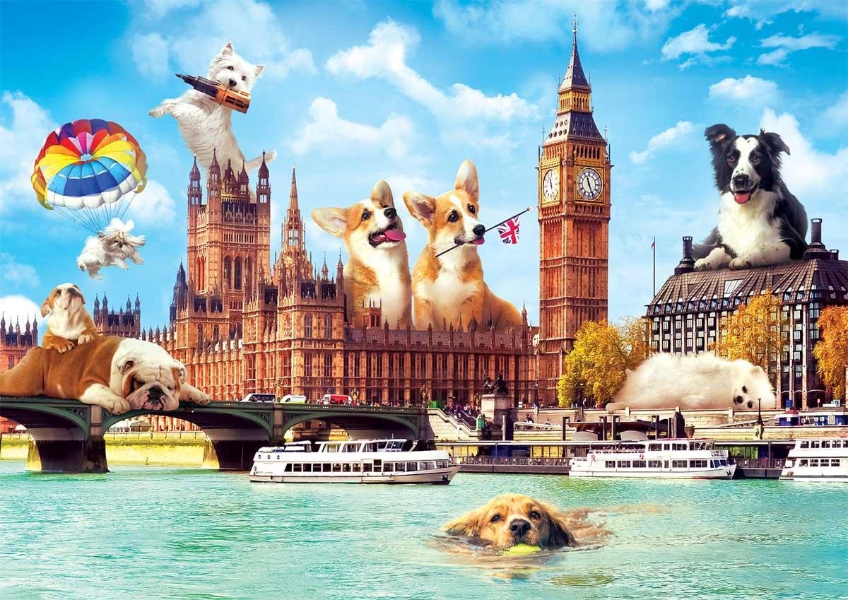 Trefl Puzzel Hondjes in London: 1000 stukjes