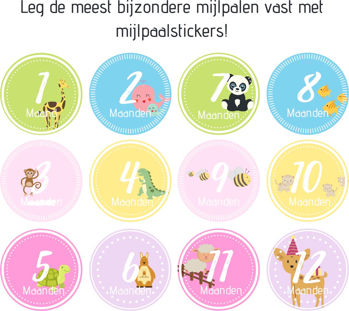 Trizzle Mijlpaalstickers Baby – Dagboek – Baby Boekjes Eerste Jaar – Mijlpaalkaarten – Milestone Cards – Baby Invulboek