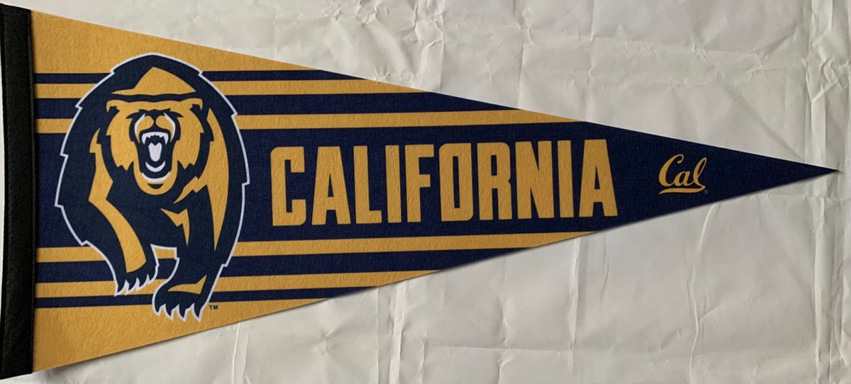 California - Cali Bear - NCAA - Vaantje - American Football - Sportvaantje -   - Vlag - Pennant - Universiteit - Ivy League amerika - 31 x 72 cm