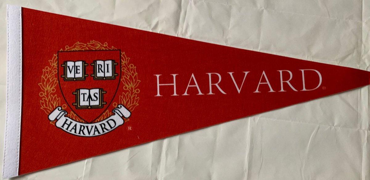 Harvard University - Harvard - NCAA - Vaantje - American Football - Sportvaantje - Wimpel - Vlag - Pennant - Universiteit - Ivy League amerika - 31 x 72 cm