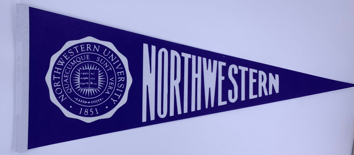 Northwestern University - University of Northwestern - Northwestern Uni - Chicago - VS - NCAA - Vaantje - American Football - Sportvaantje -   - Vlag - Pennant - Universiteit - Ivy League amerika - 31 x 72 cm - Cadeau sport - Cadeau uni