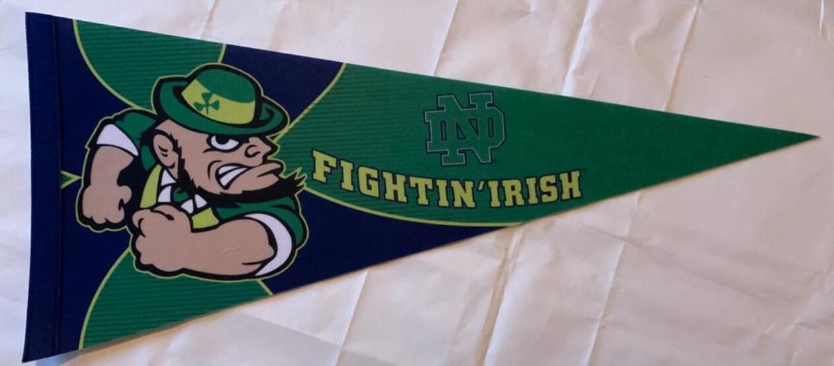 Notre Dame University - Fightin Irish - NCAA - Vaantje - American Football - Sportvaantje - Wimpel - Vlag - Pennant - Universiteit - Ivy League amerika - 31 x 72 cm