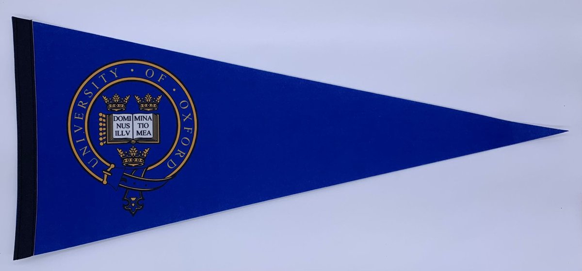 Oxford University - University of Oxford - Oxford Uni - Oxford - VK - Universiteit van Oxford - Vaantje - Sportvaantje - Wimpel - Vlag - Pennant - Ivy League - 31 x 72 cm - Cadeau uni - Vaantje Oxford - Vlag Oxford - Uk uni - VK uni - Lichtblauw