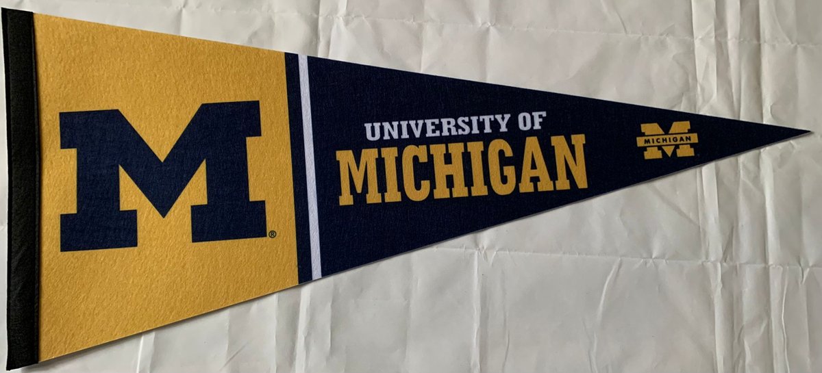 University of Michigan - Wolverines - NCAA - Vaantje - American Football - Sportvaantje -   - Vlag - Pennant - Universiteit - Ivy League amerika - 31 x 72 cm