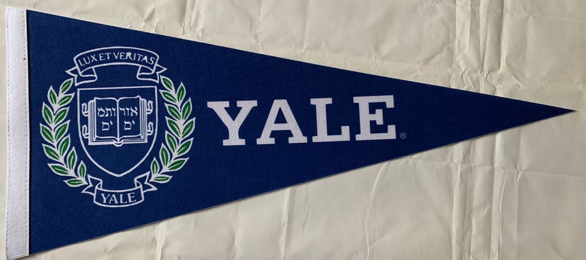 Yale University - Yale - NCAA - Vaantje - American Football - Sportvaantje -   - Vlag - Pennant - Universiteit - Ivy League amerika - 31 x 72 cm