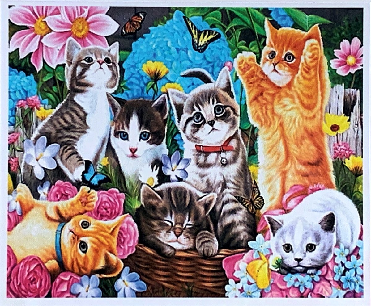 Unique Diamond Painting Volwassenen - Diamond Painting Kinderen- KAT - 40x50cm