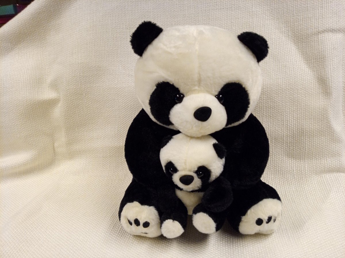 Leuke knuffel panda met baby 23 cm - superleuk en supermooi