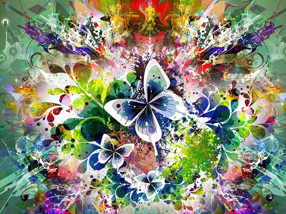 Vitamo™ Diamond Painting 40x50 cm - Compleet pakket - Vierkante steentjes - Volledige bedekking - Dieren - Bloemen en Planten - Vlinders