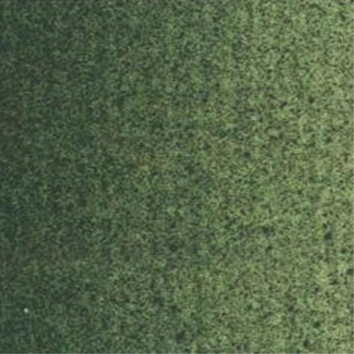   Olieverf Tube - 40 ml 629 Groene Aarde