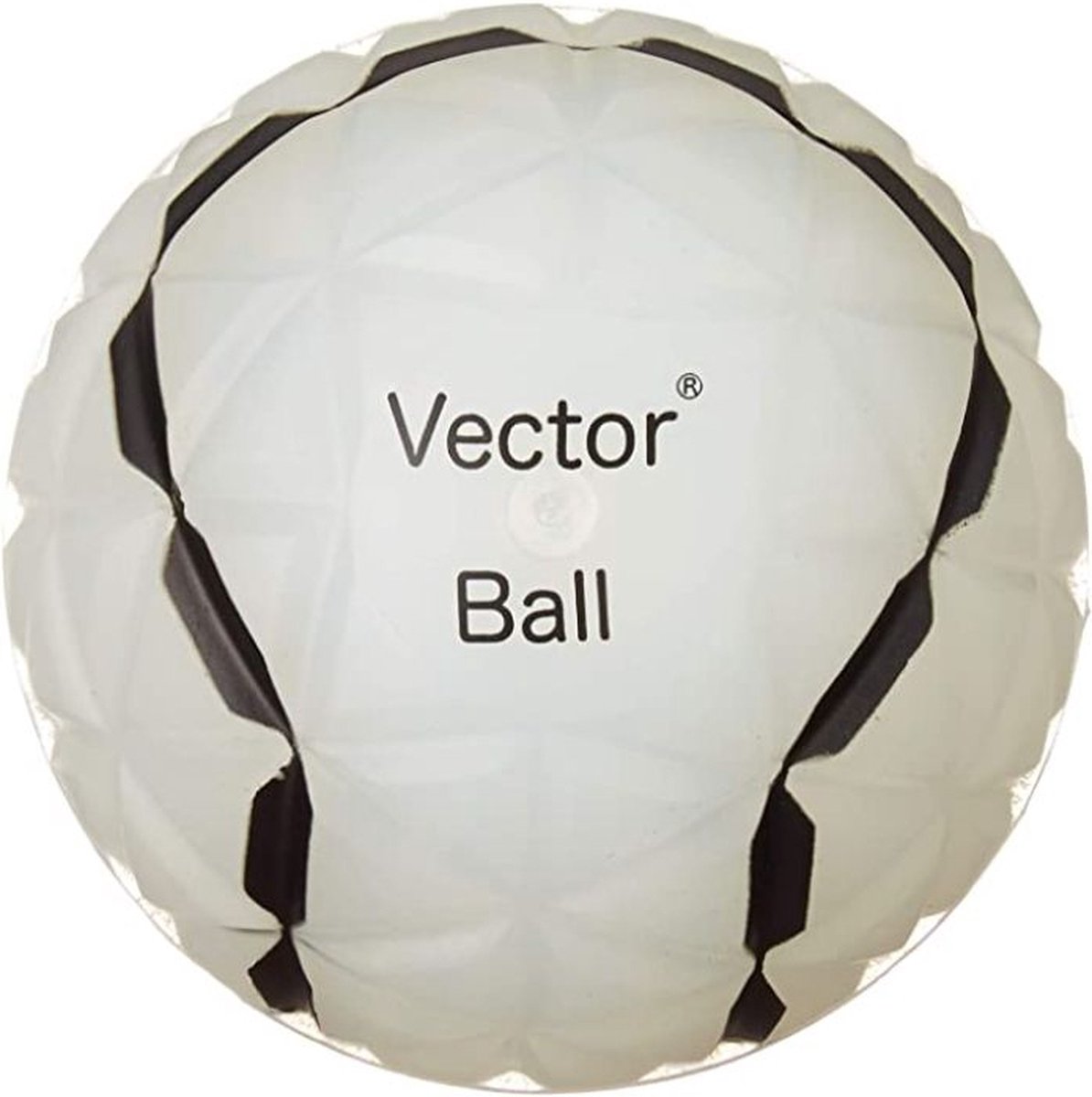 Vector Cognitieve Trainingsbal